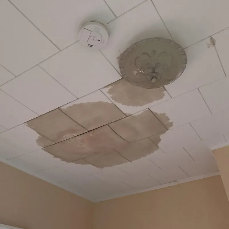 Ceiling Water Damage Repair in Tremont, IL