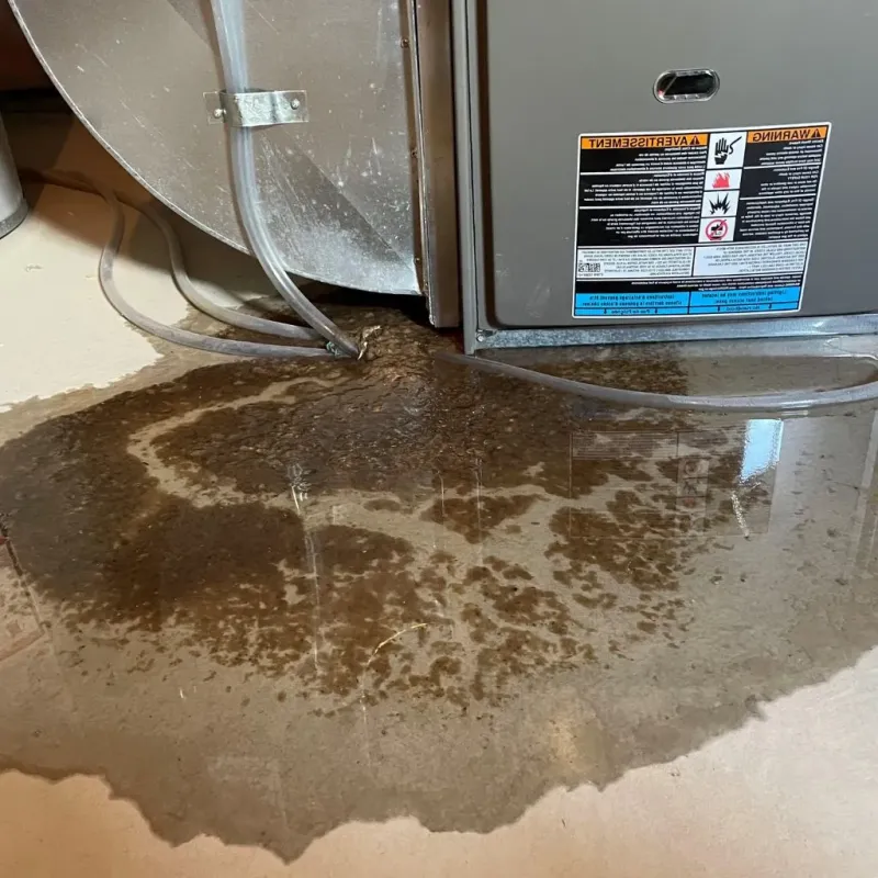 Pipe Burst and Leak Restoration in Tremont, IL