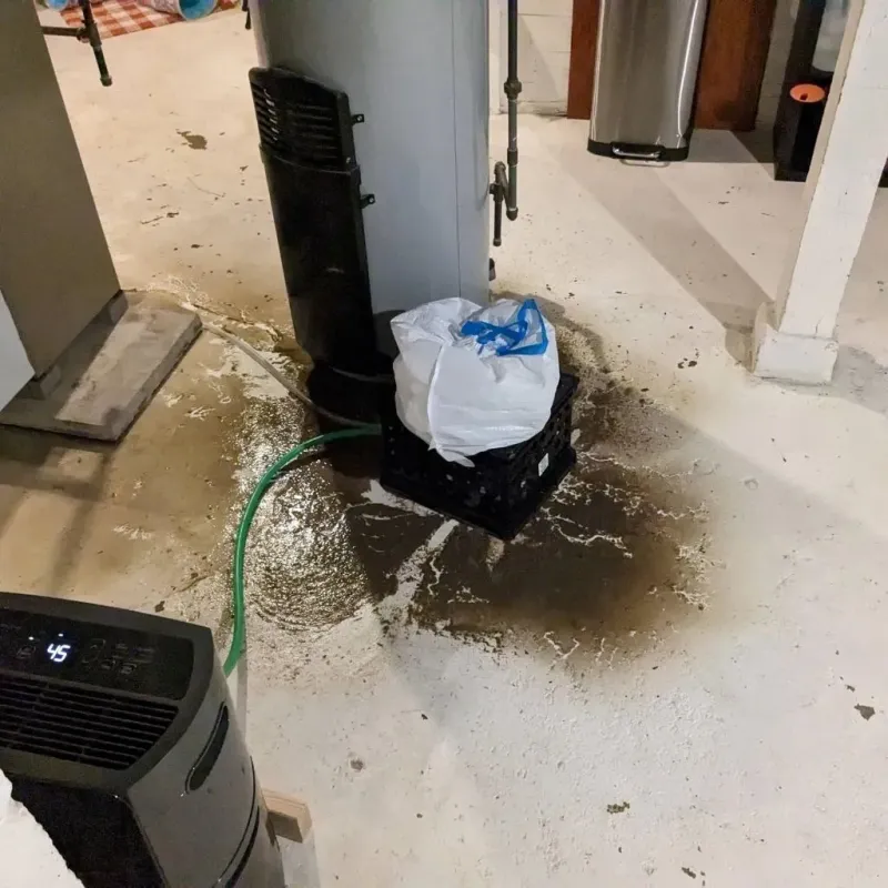 Sewage Backup Cleanup Service in Tremont, IL